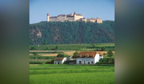 Urlaub Österreich Reisen - Mohn, Marille & Wein im Kamptal 