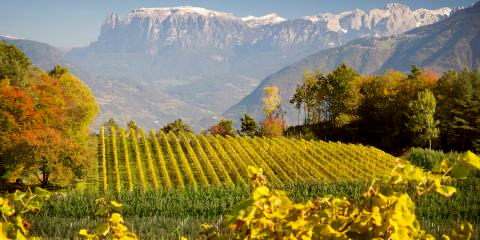 Titelbild für Genießertage in Südtirol