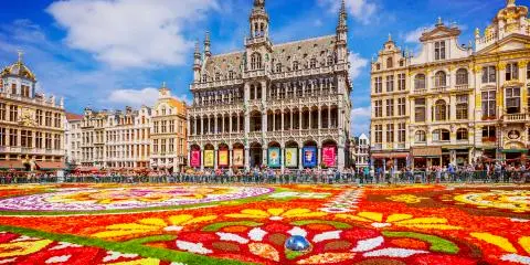 Titelbild für Blumenteppich in Brüssel - mit Gent und Antwerpen