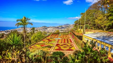 Titelbild für Gruppenreise nach Madeira - Zauberhafte Blumeninsel