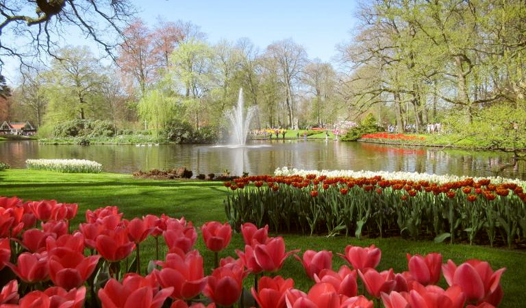 Holland - Tulpenblüte mit Mega Event Blumenkorso